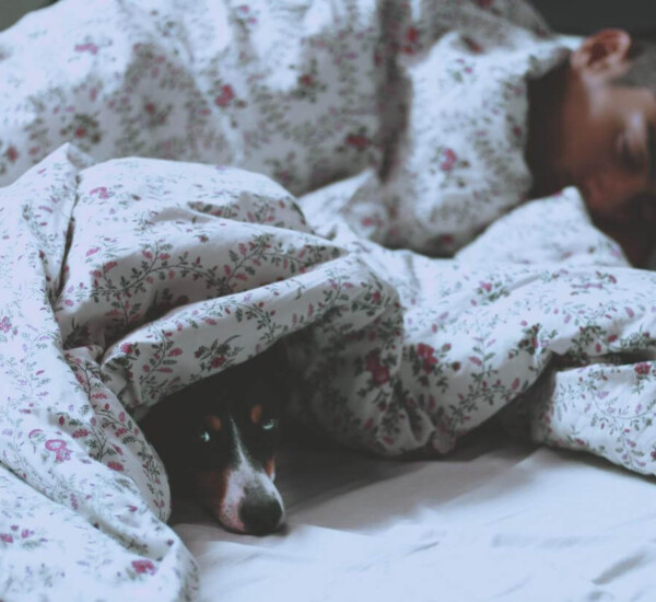 Comment choisir un matelas King Size pour les troubles du sommeil 6 La qualité du sommeil est élément important dans le choix d'un matelas