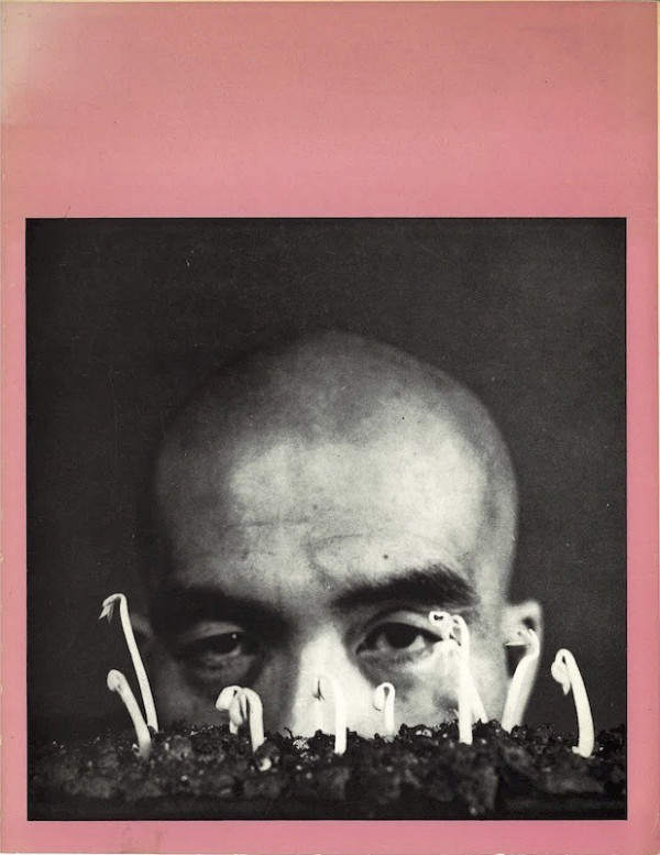 Jean-Jacques Lévêque, KUDO