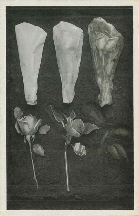 Jacqueline BRETON (LAMBA), PONT DU DEMI SOLEIL, 