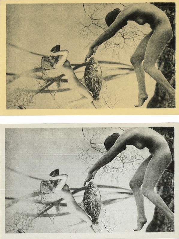 Nusch ELUARD, BOIS DES ILES,