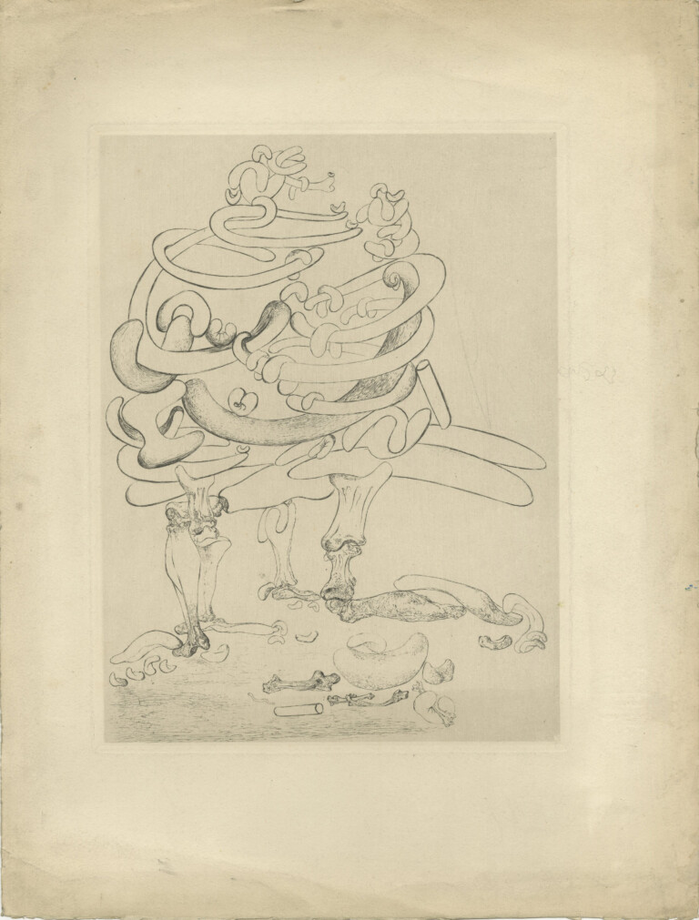 DALI Salvador Gravure pour les Chants de Maldoror, 1934