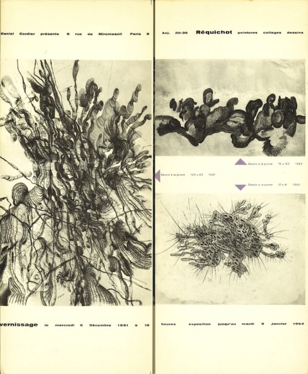 requichot daniel cordier