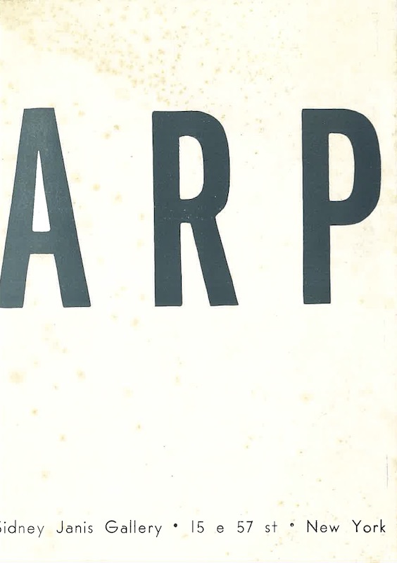 sophie jean arp sidney janis