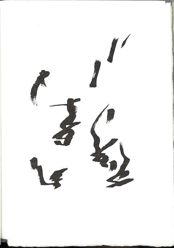 mandiargues aimer michaux