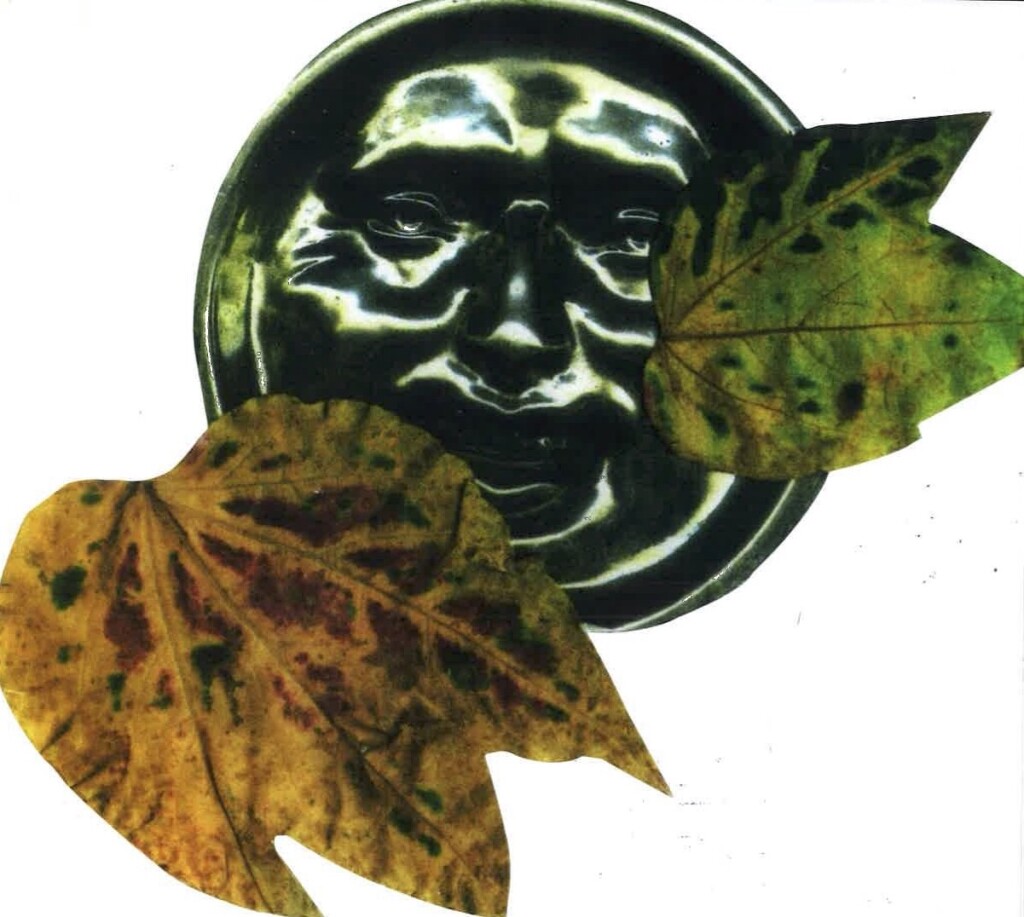 Aube Elleouet, Tours, novembre 2025