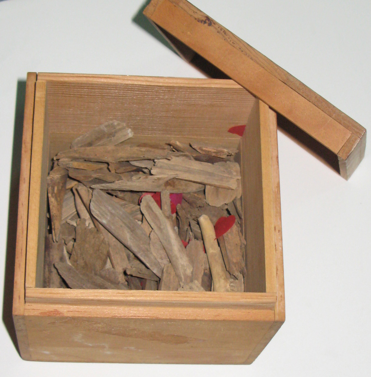 Takako Saito Love to New