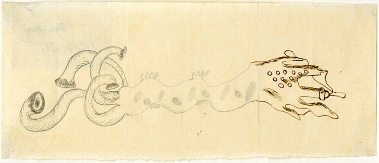 CADAVRE EXQUIS Paul Nouge et René Magritte