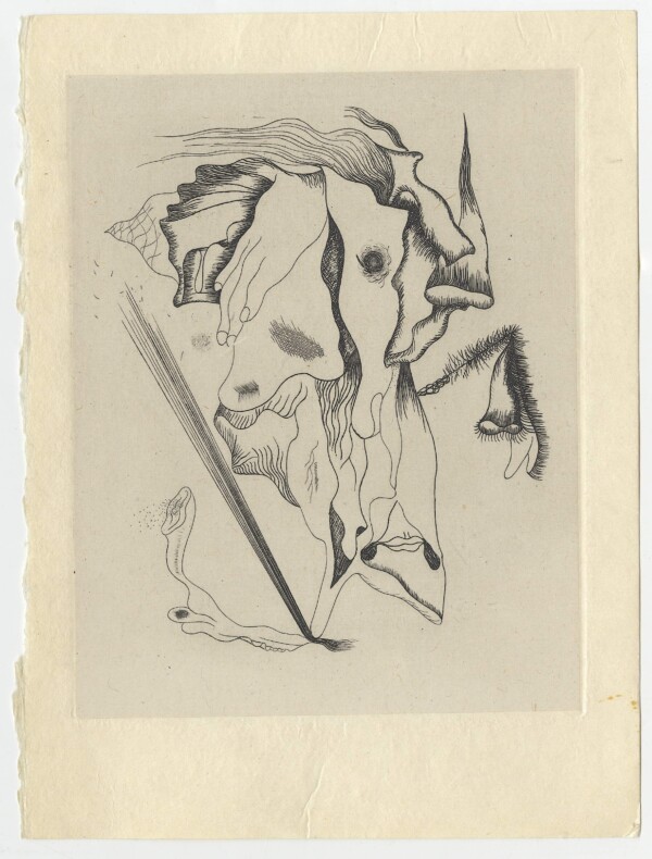 Tanguy Yves Vie immediate