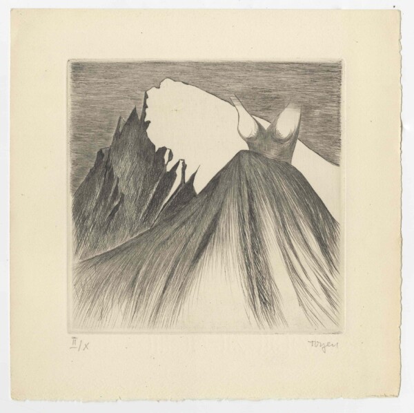 Toyen surrealisme meme