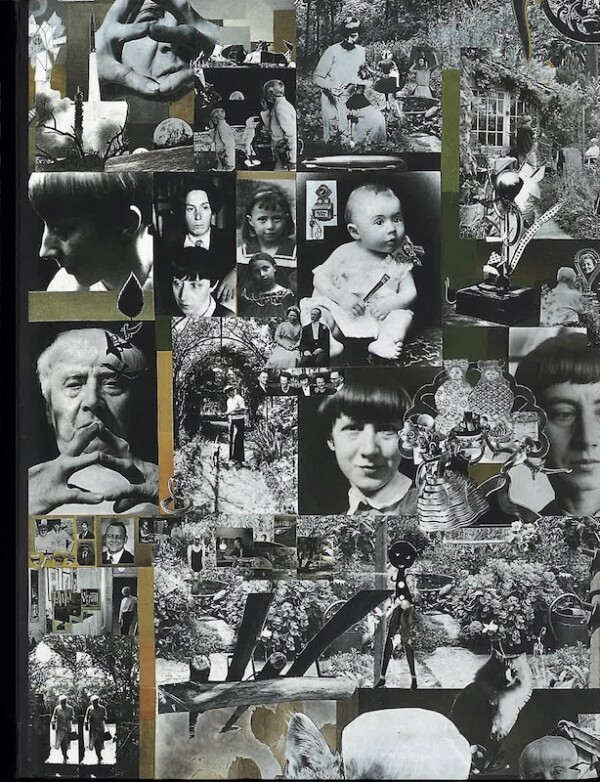 hannah hoch reina sofia